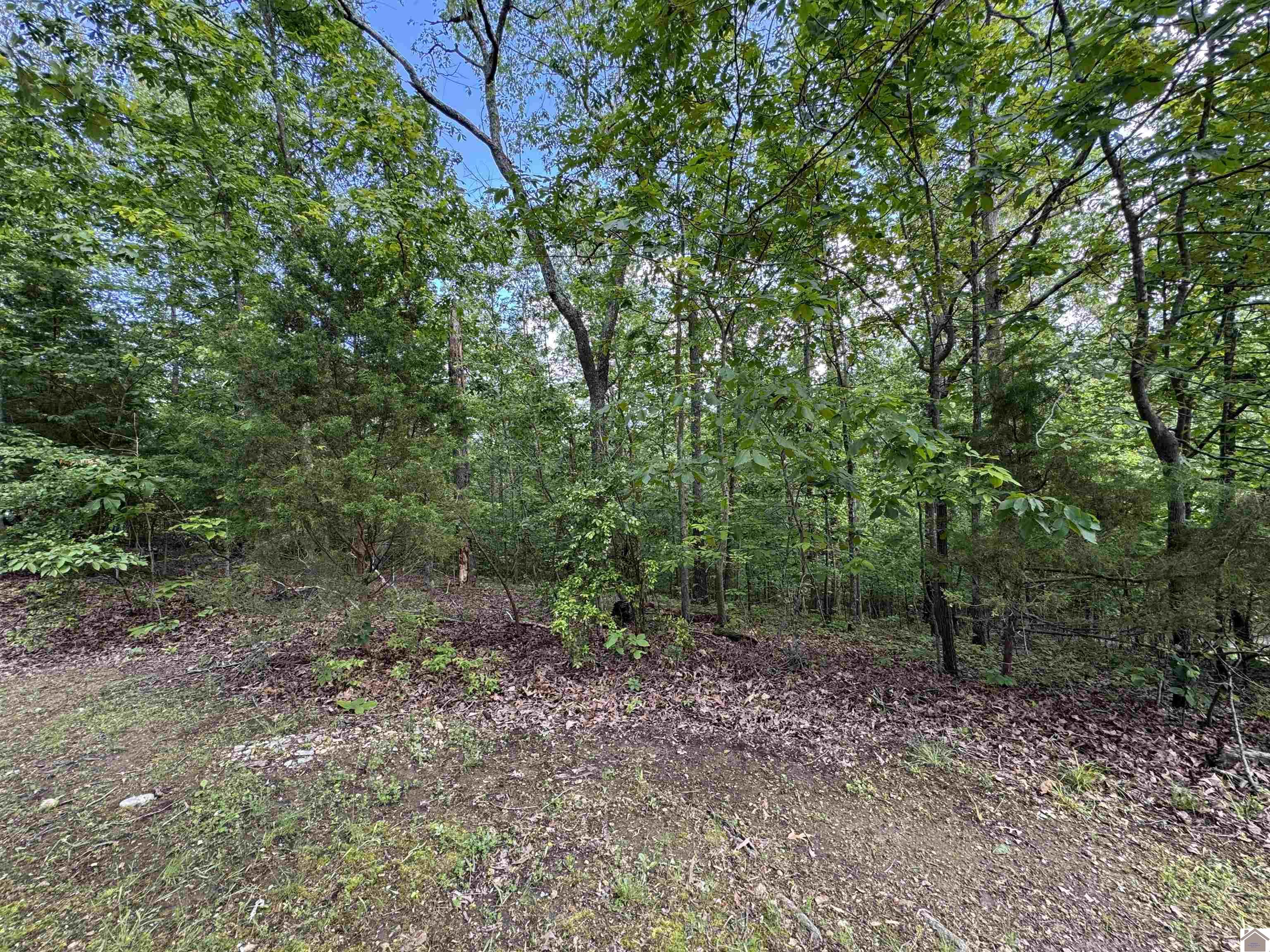 00 Leisure Acres Lane, Lot 8