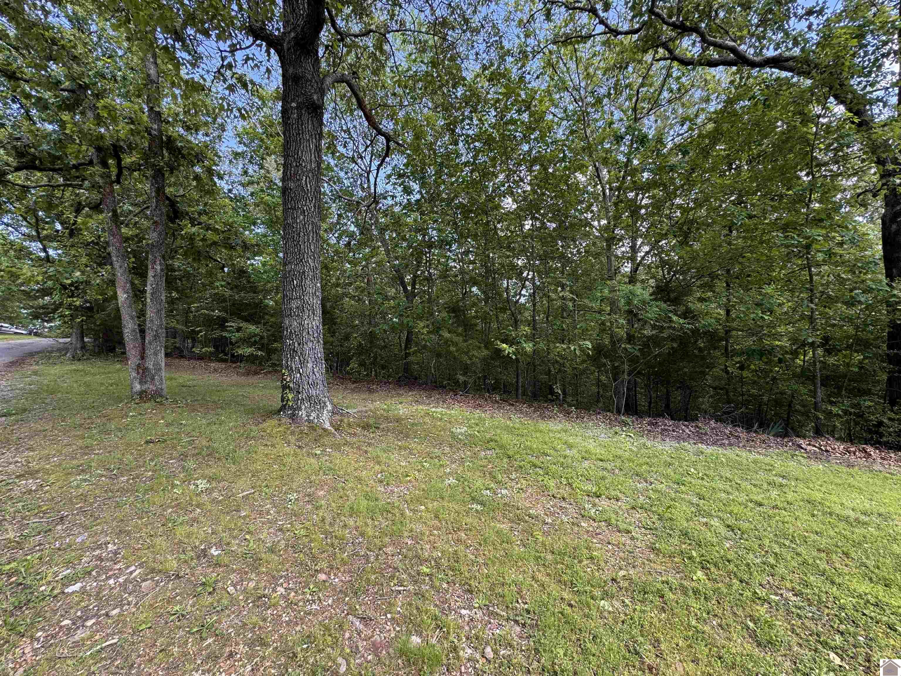 00 Leisure Acres Lane, Lot 8