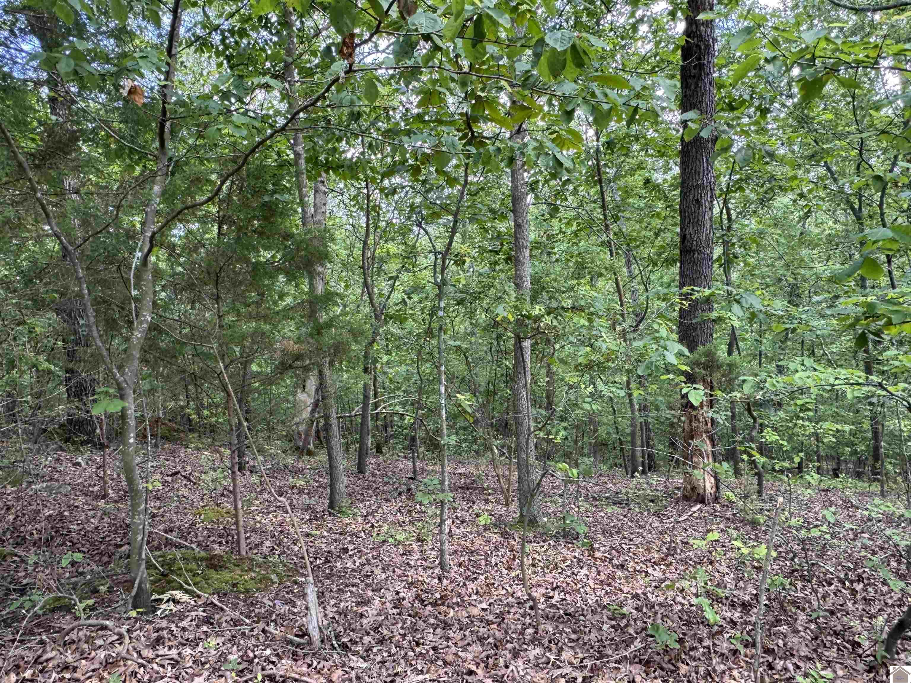 00 Leisure Acres Lane, Lot 8