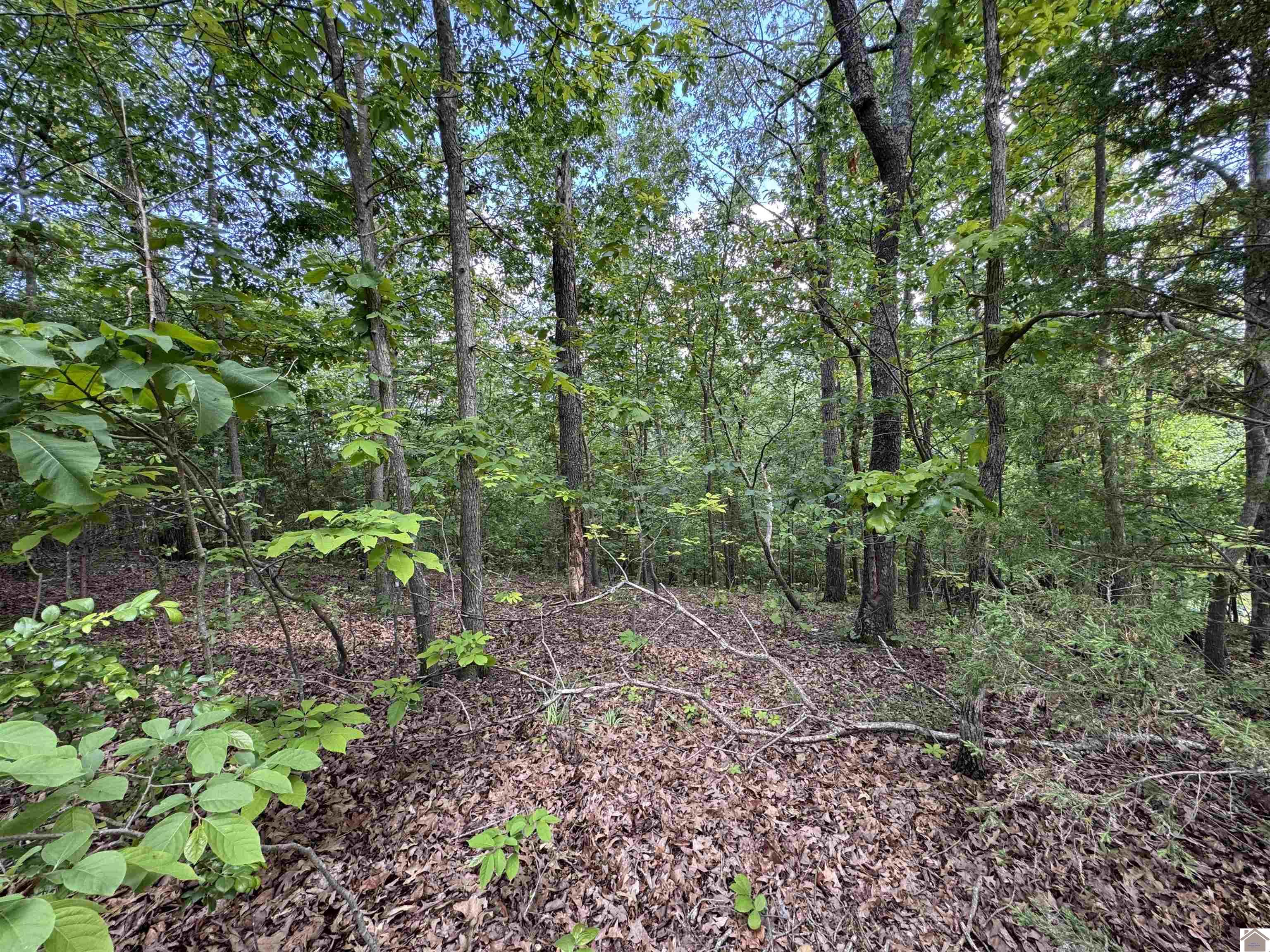 00 Leisure Acres Lane, Lot 8