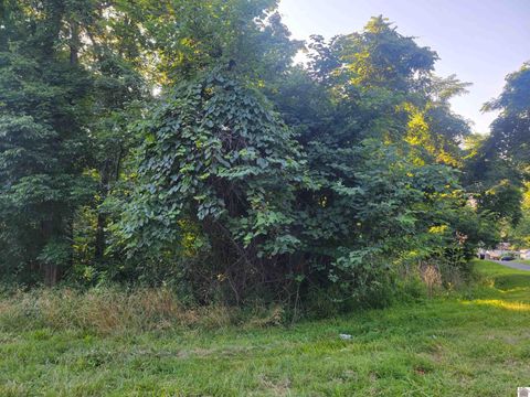 0 Hylan Drive Eddyville KY 42038