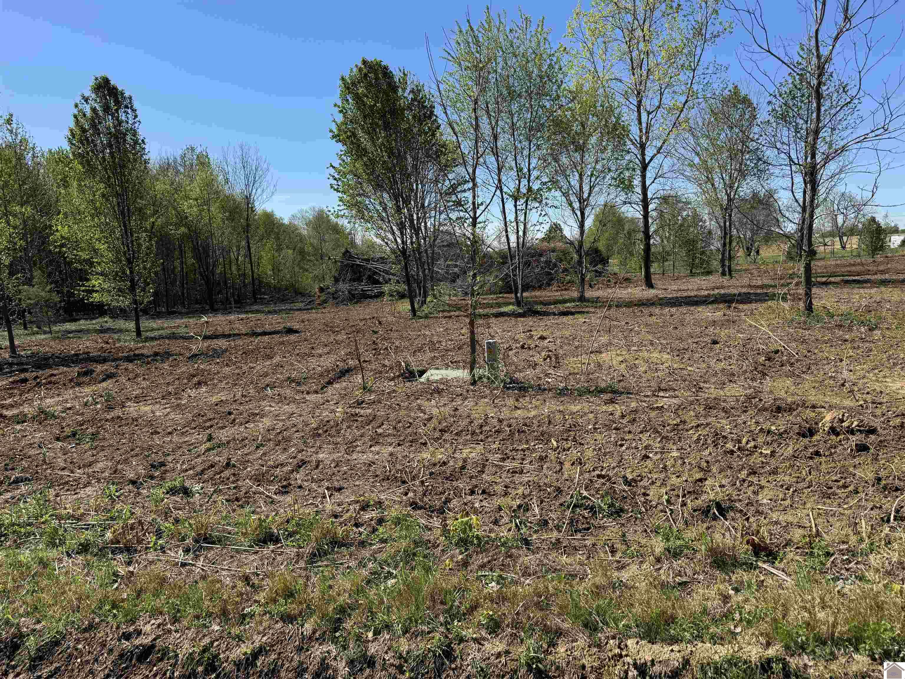 Lots 130 & 140 Foster Dr