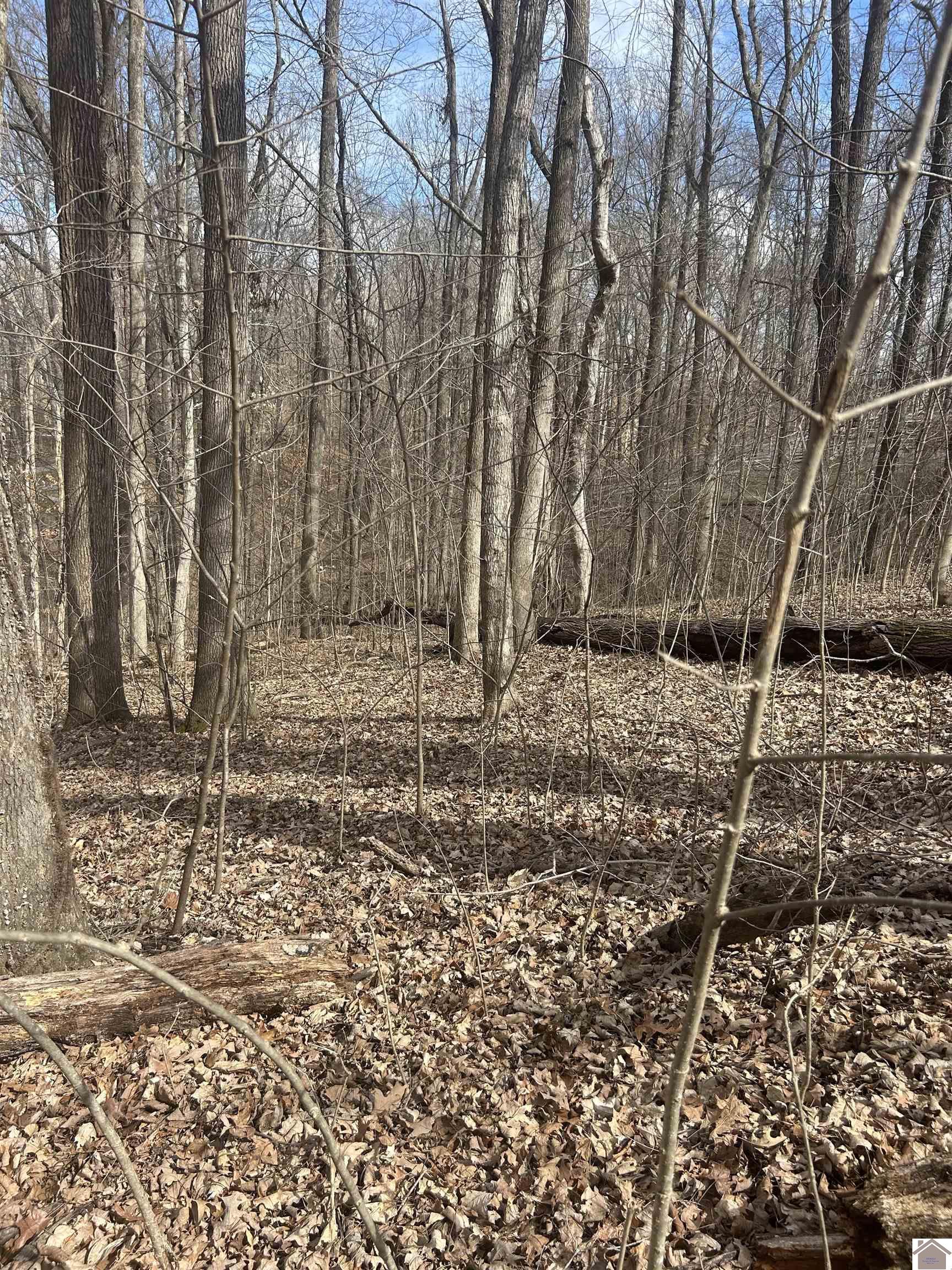 Rockcastle Shores 26 I