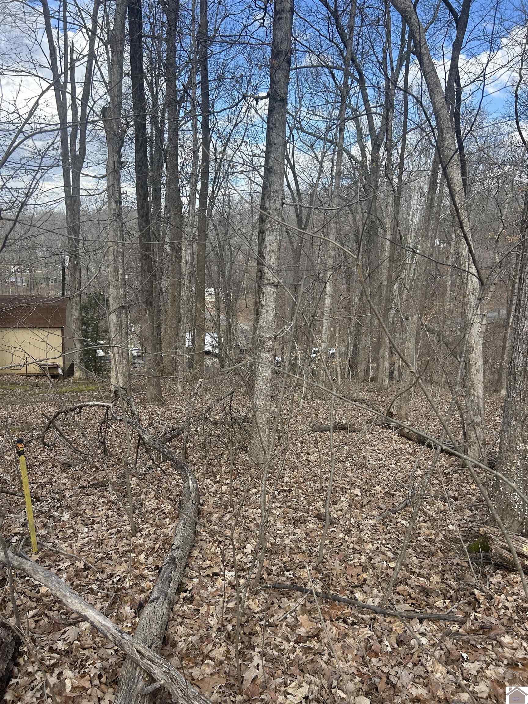 Rockcastle Shores 26 I