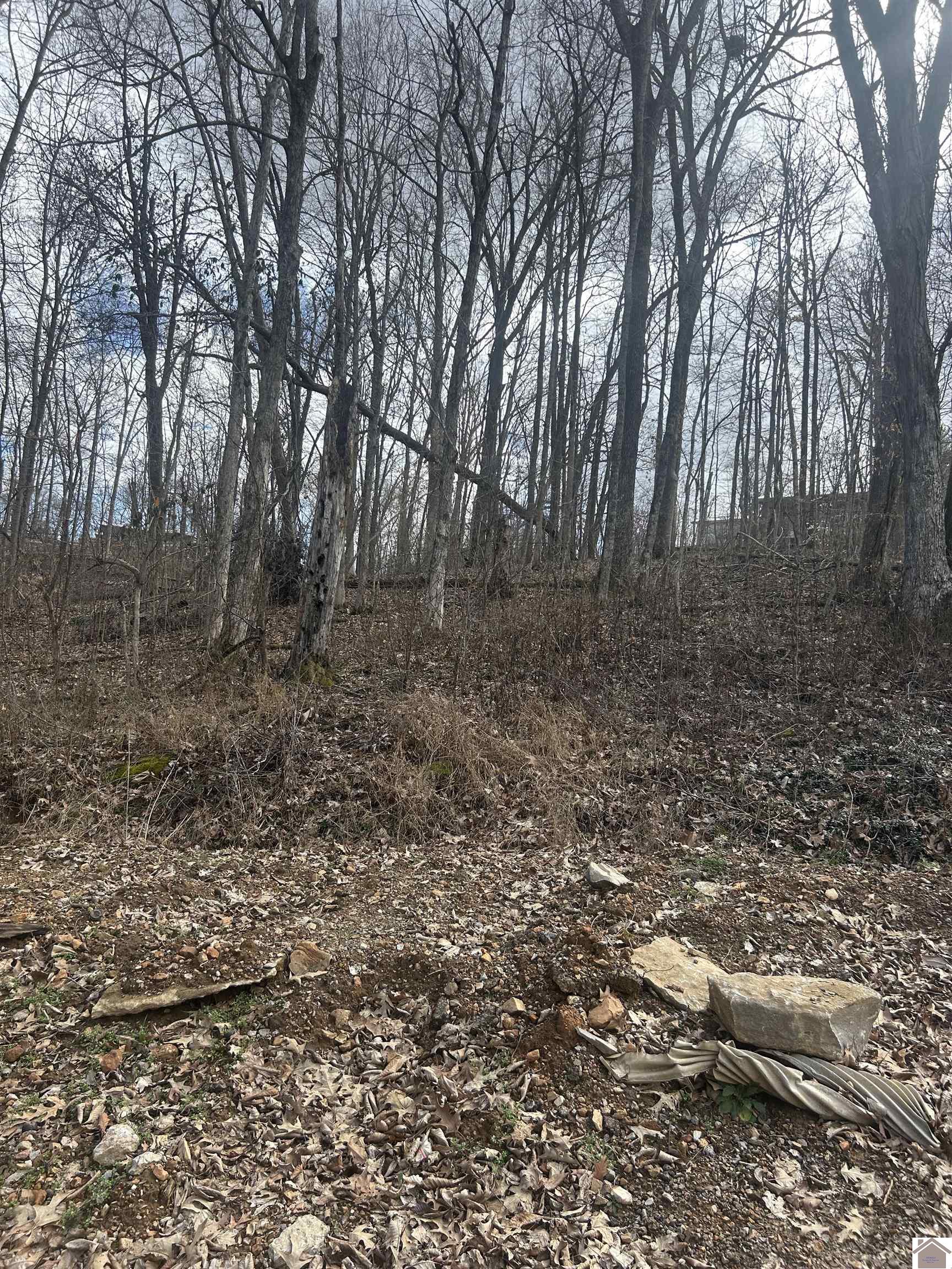 Rockcastle Shores 26 I