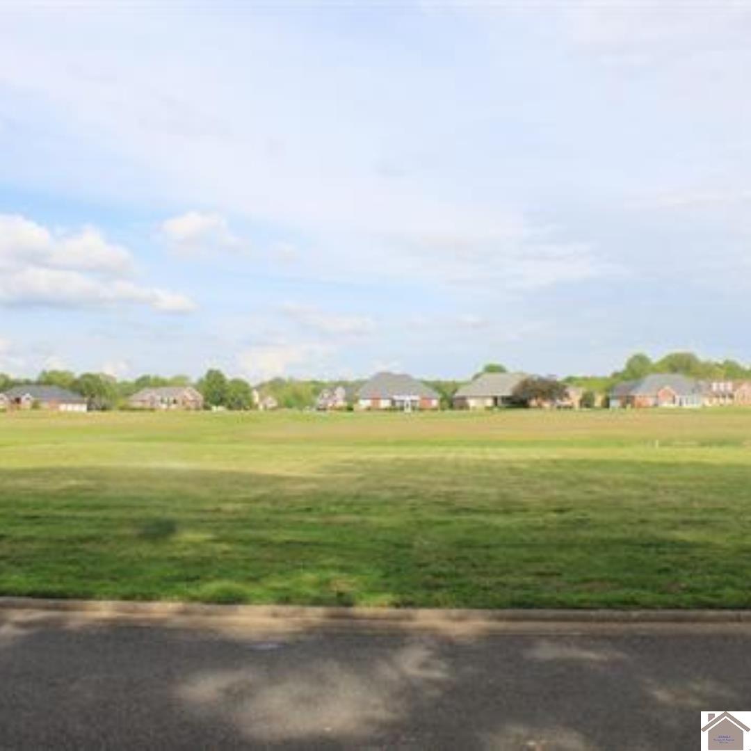 Photo 1 of 10 — Lot 35 Summerlin DR, Ledbetter, KY 42058
