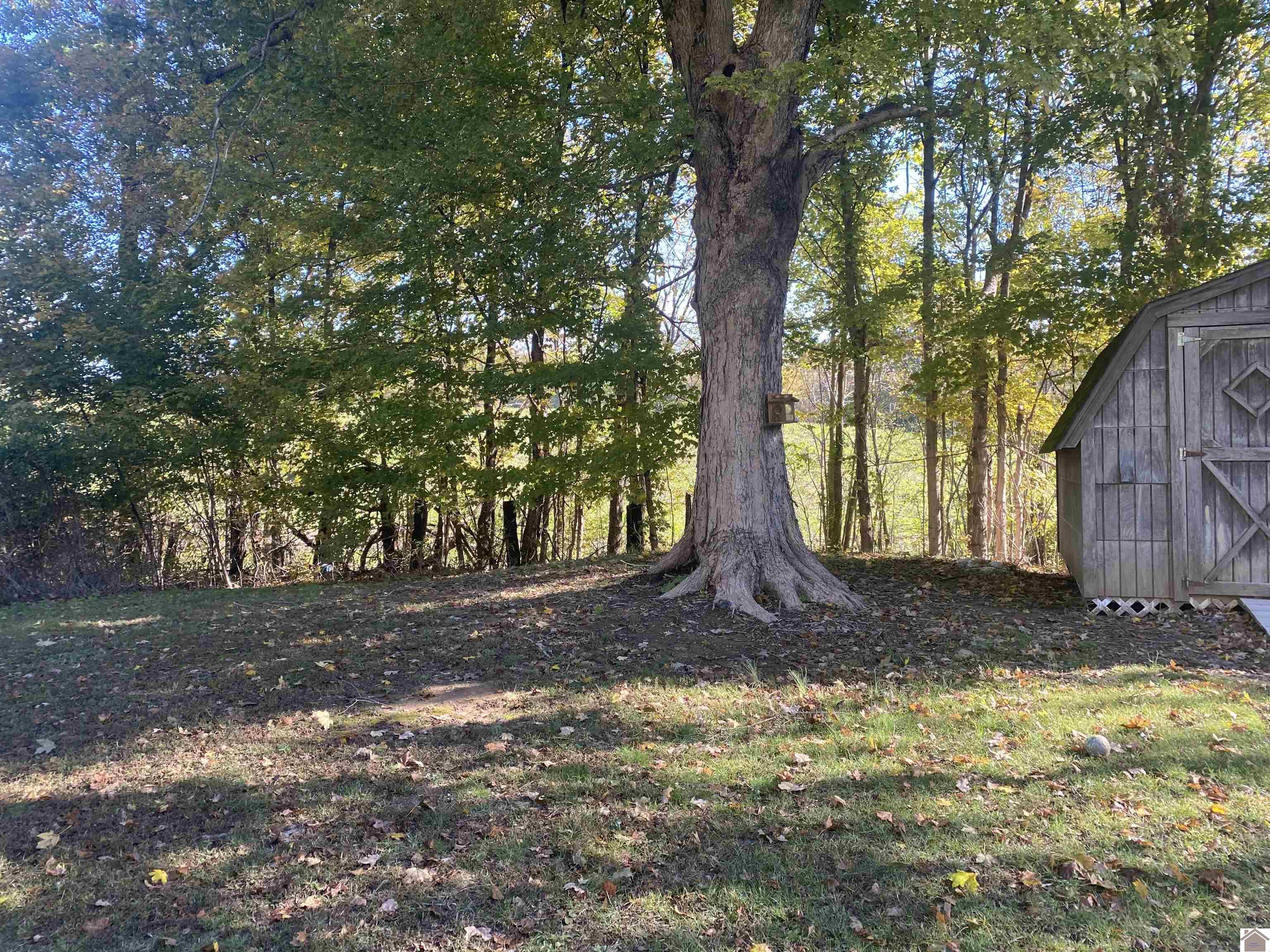 5492 State Route 339 South