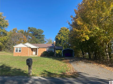 5492 State Route 339 South Mayfield KY 42066