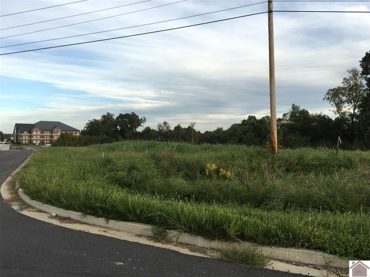 Photo 1 of 4 — 0000 Access Rd, Benton, KY 42025