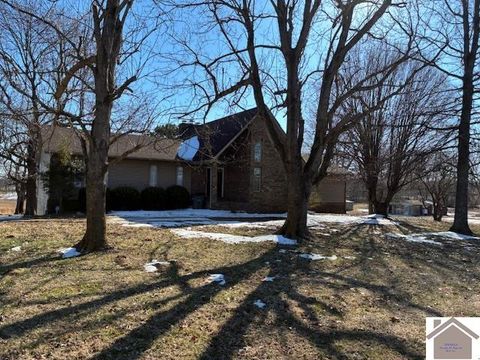 12314 ST RT 131 Symsonia KY 42082