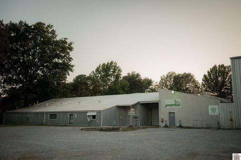 1925 KY-1241 Hickory KY 42051