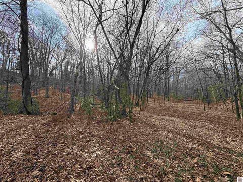 000 Waterway Trail New Concord KY 42076