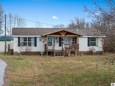 1007 River Road Smithland KY 42081