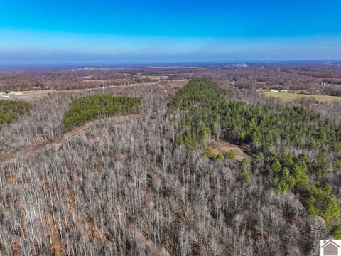 000 State Route 818 North Kuttawa KY 42055