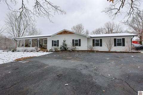 1465 Bryan Rd Boaz, McCracken KY 42027