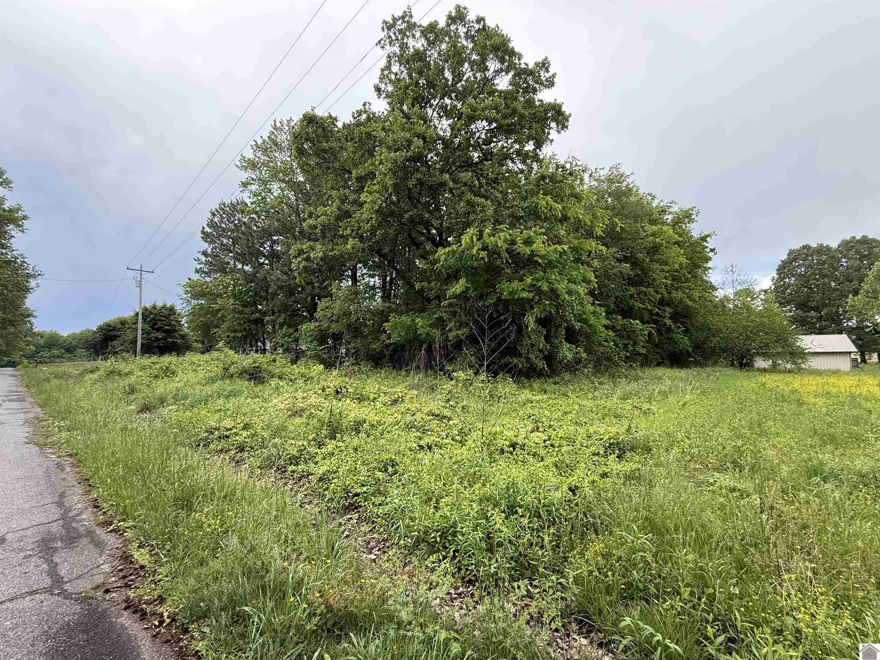 694 Green Plain Rd