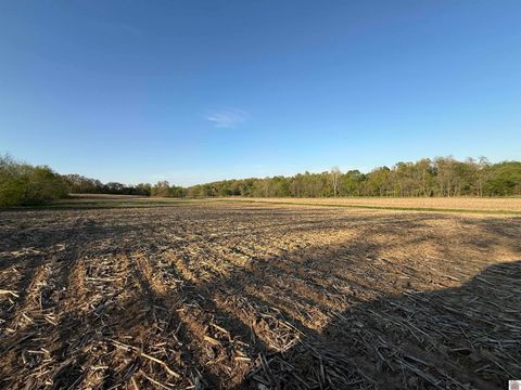 0 Carter Road Mayfield KY 42066