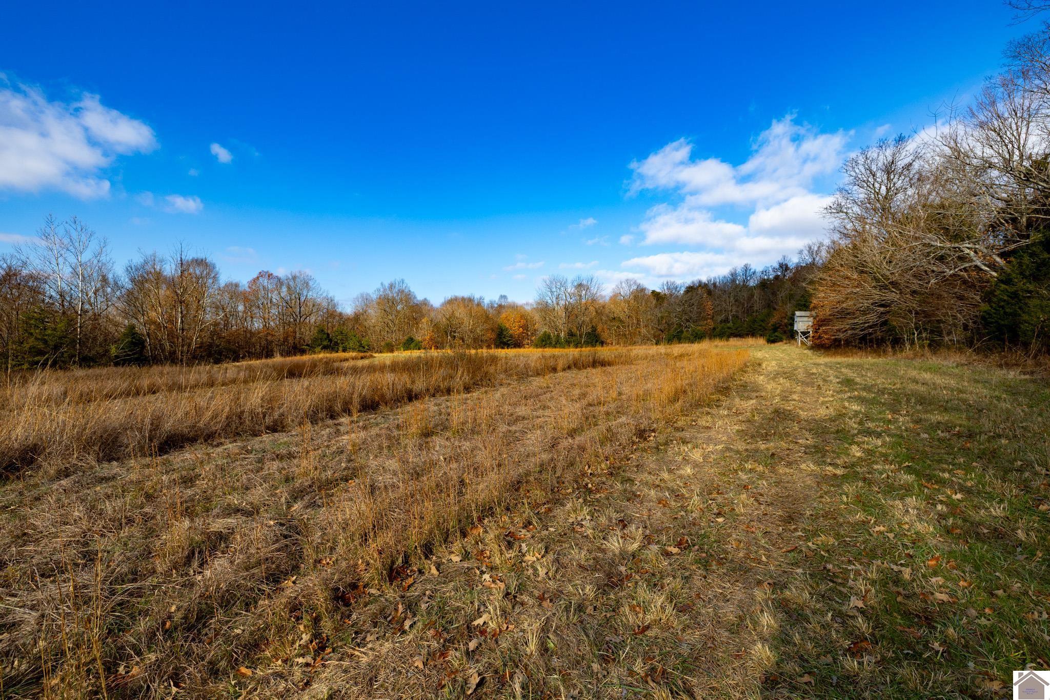 11405 State Route 120