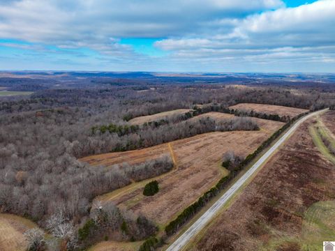 11405 State Route 120 Marion KY 42064