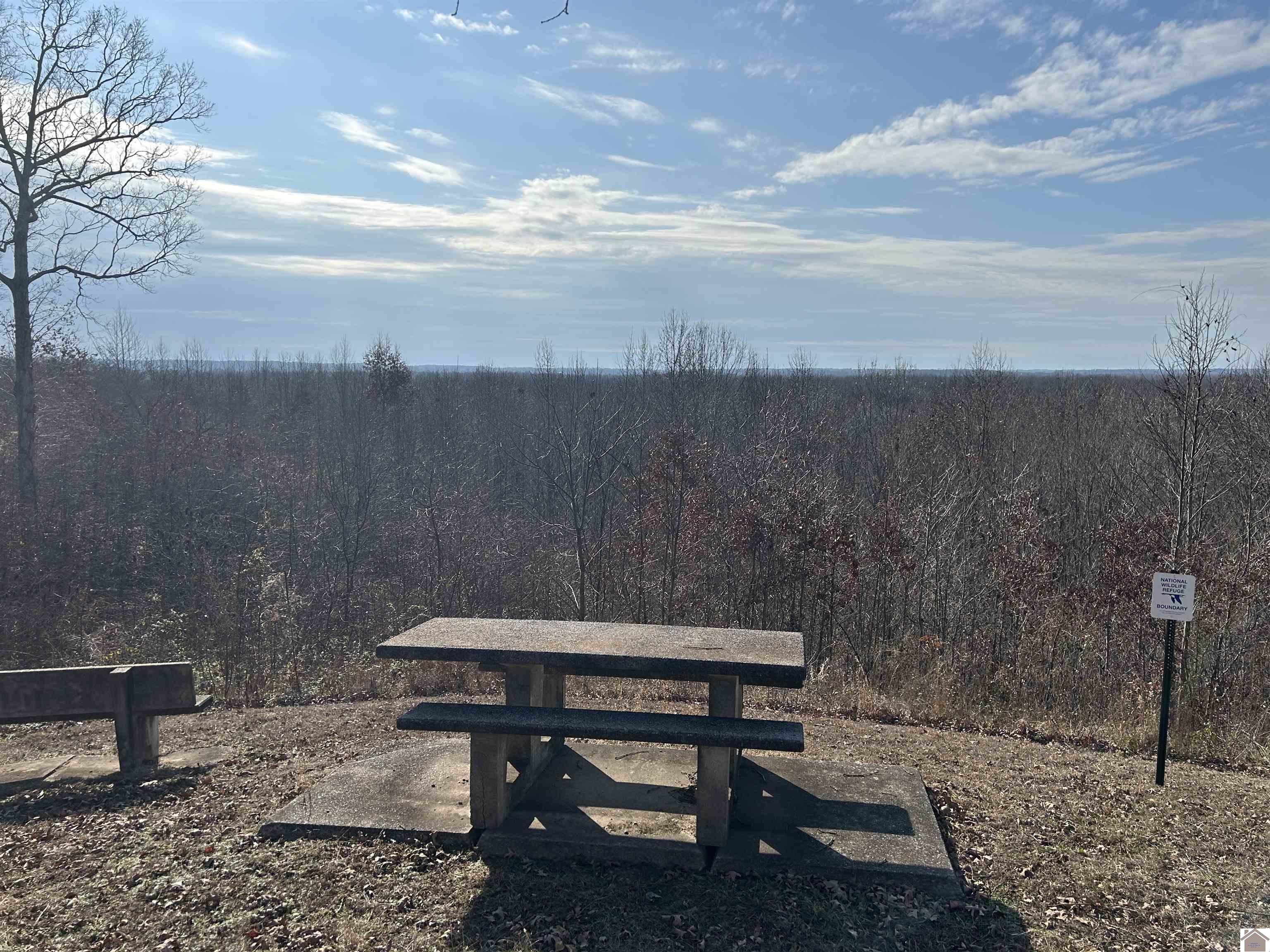 00 Chickasaw Bluff Rd.