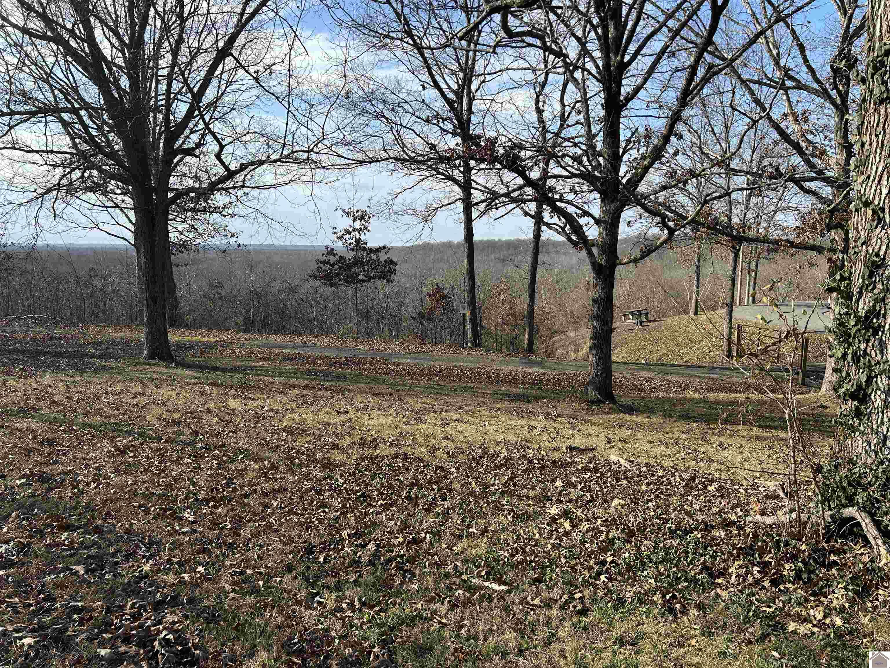 00 Chickasaw Bluff Rd.