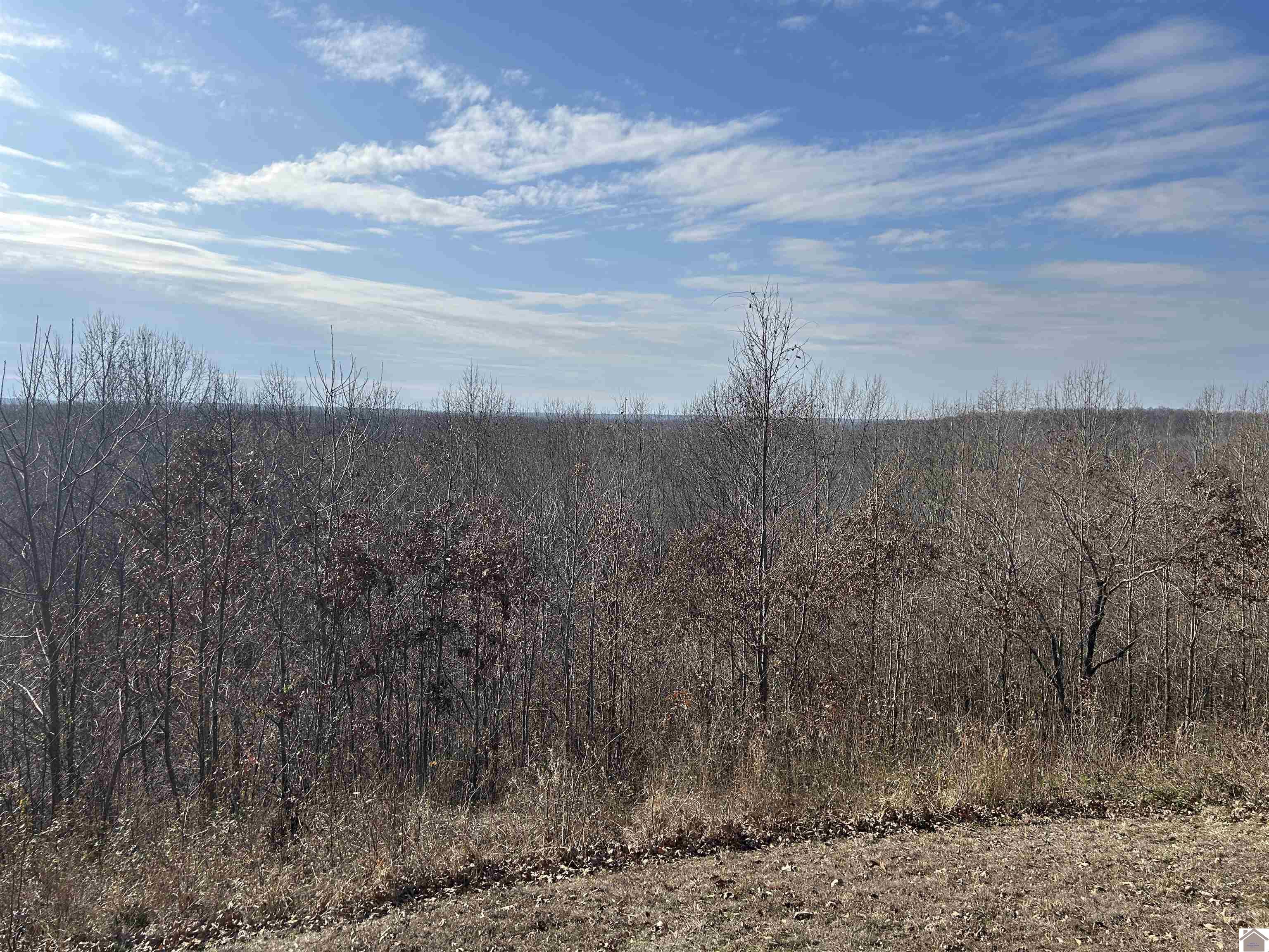 00 Chickasaw Bluff Rd.