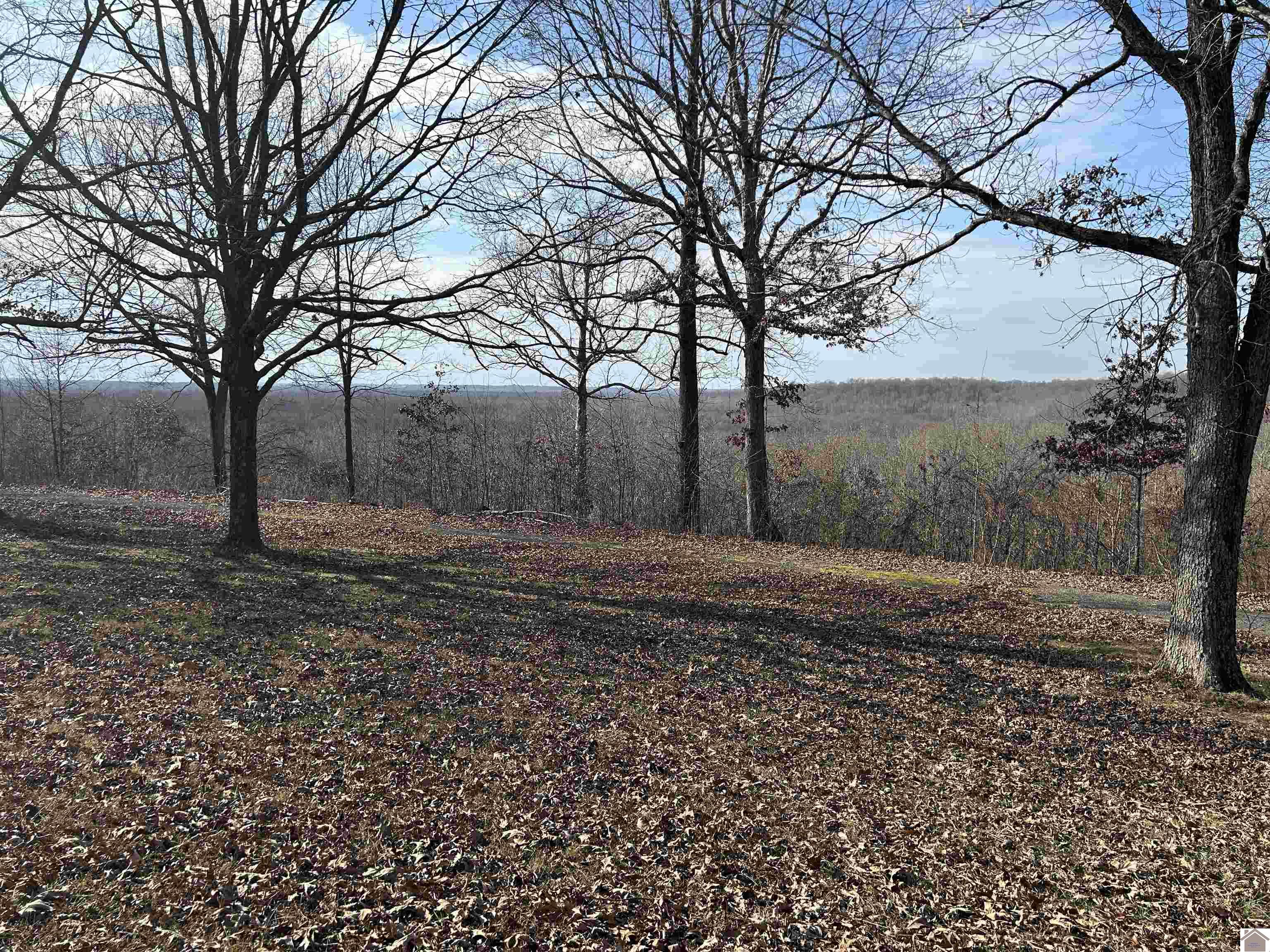 00 Chickasaw Bluff Rd.