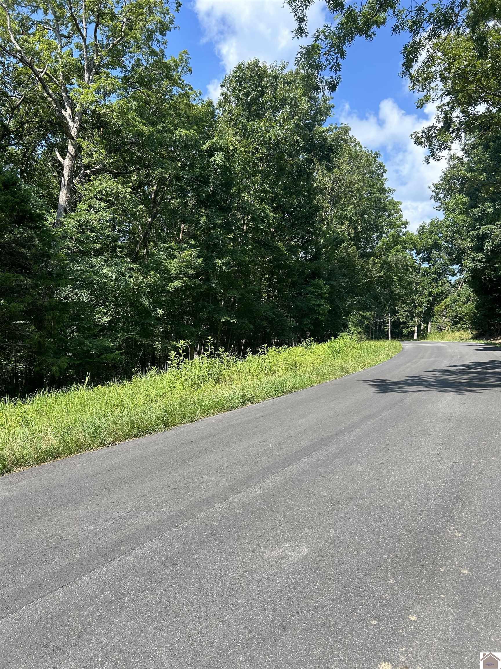Bluegrass Est 6 Canton Blue Springs Road