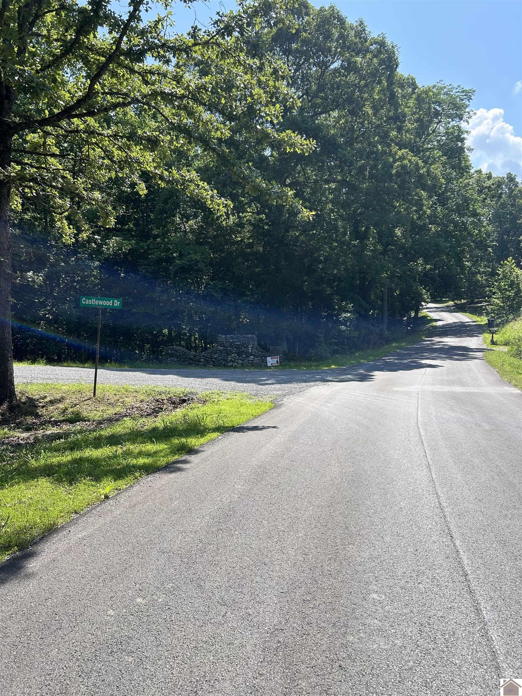 Bluegrass Est 6 Canton Blue Springs Road