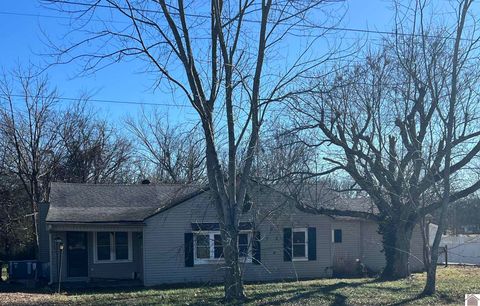 2511 Mayfield Highway Benton KY 42025