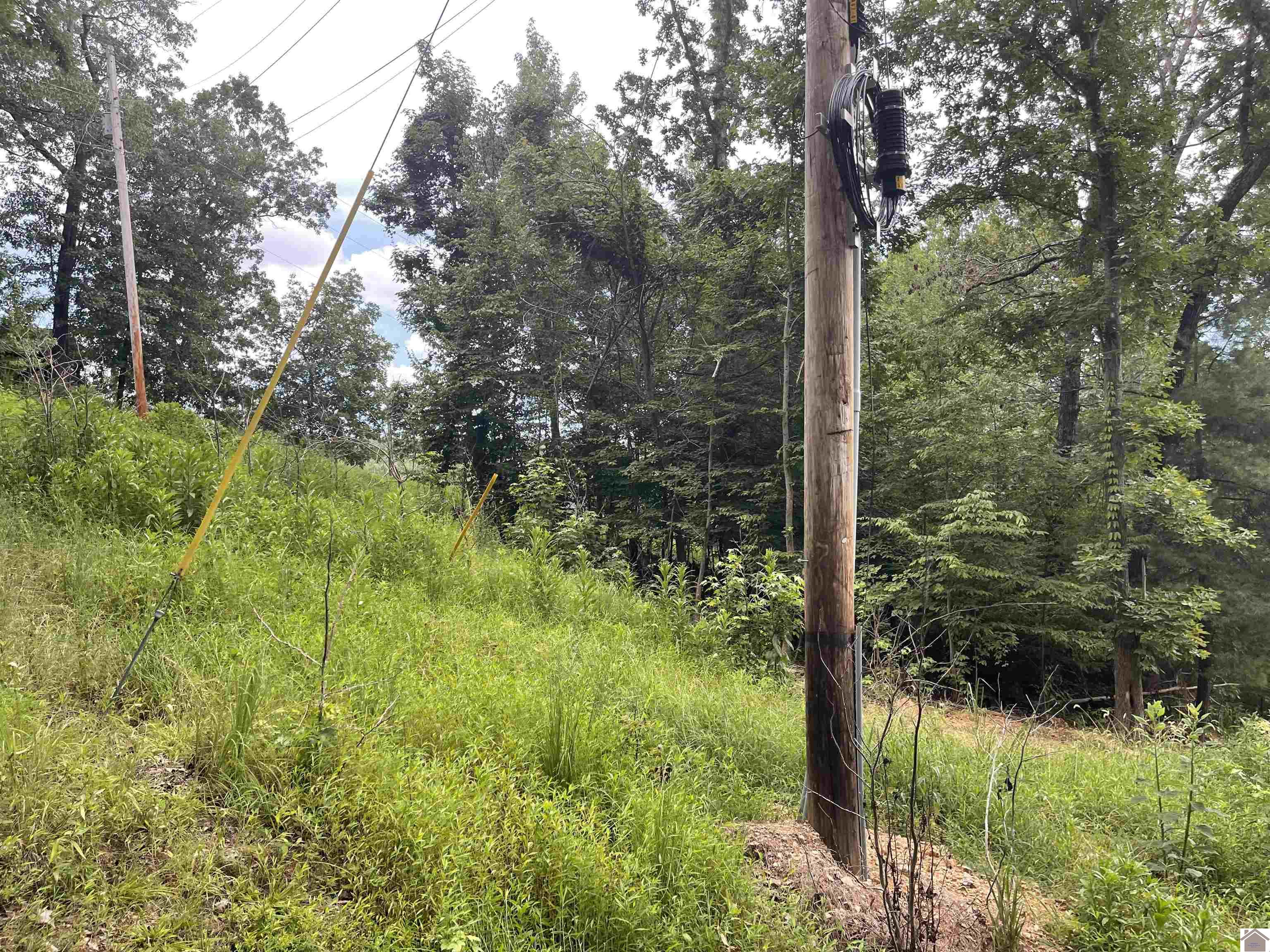 Tract 2 Oak Ridge Rd