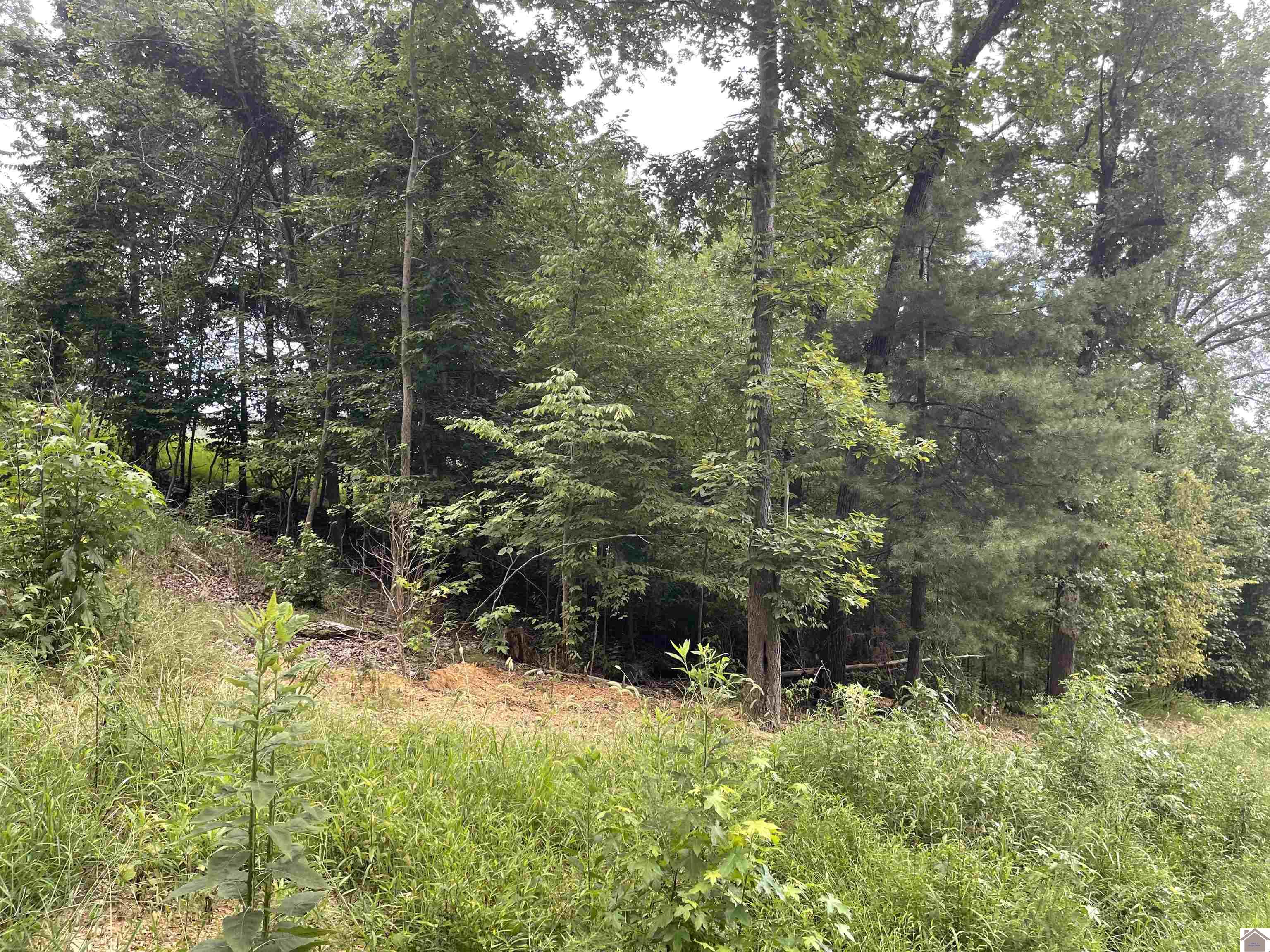 Tract 2 Oak Ridge Rd