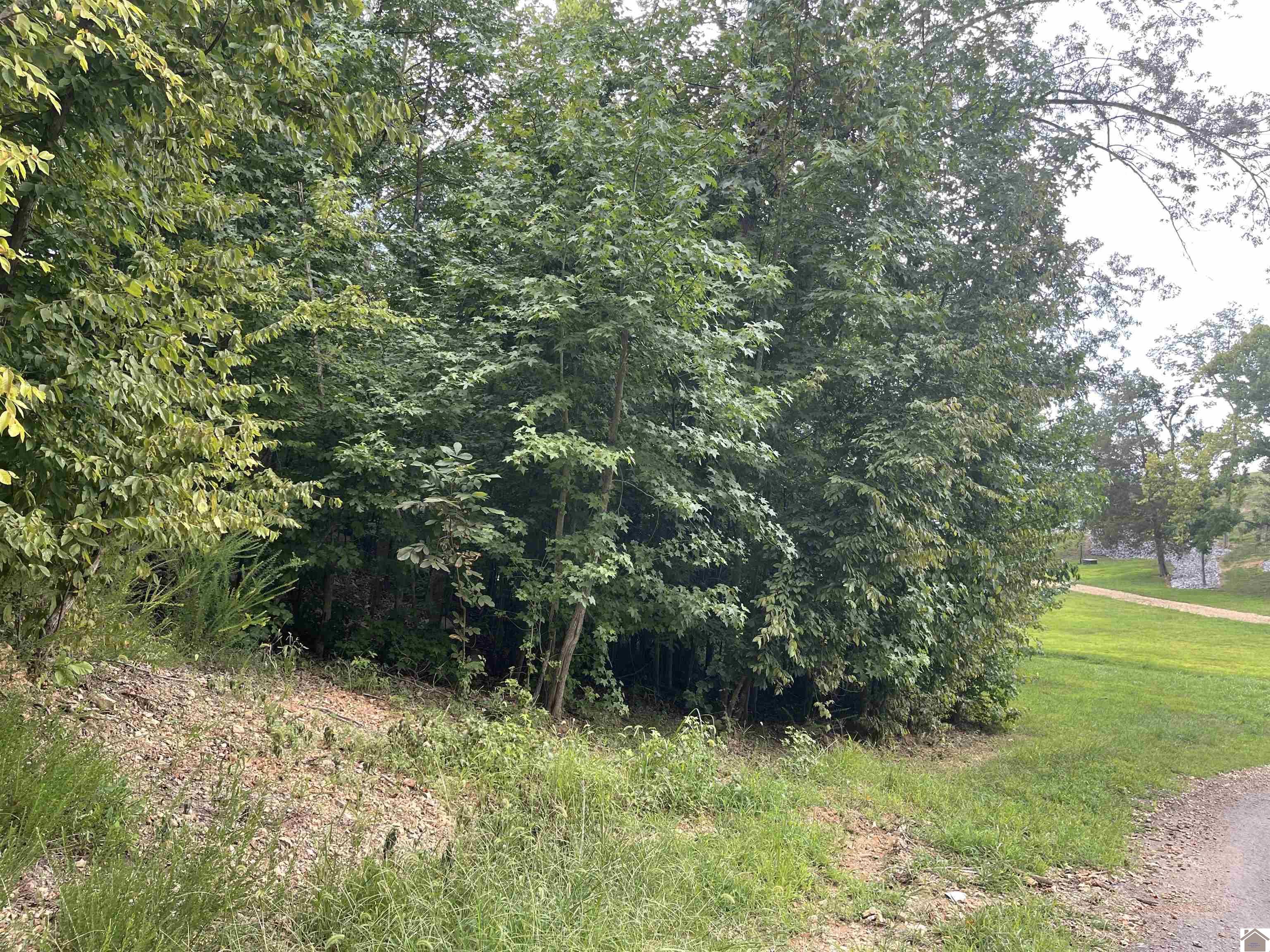 Tract 2 Oak Ridge Rd