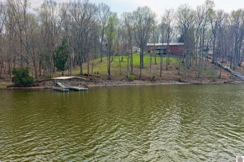 81 Beech Point Dr. Cadiz KY 42211