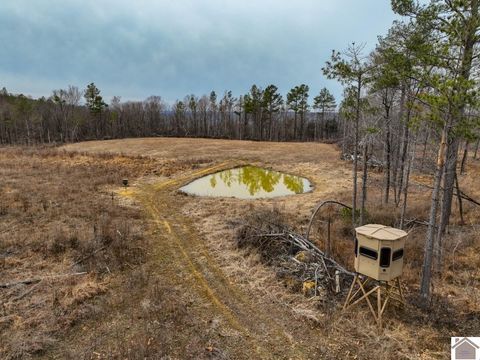 000 Cedar Grove Road Salem KY 42078