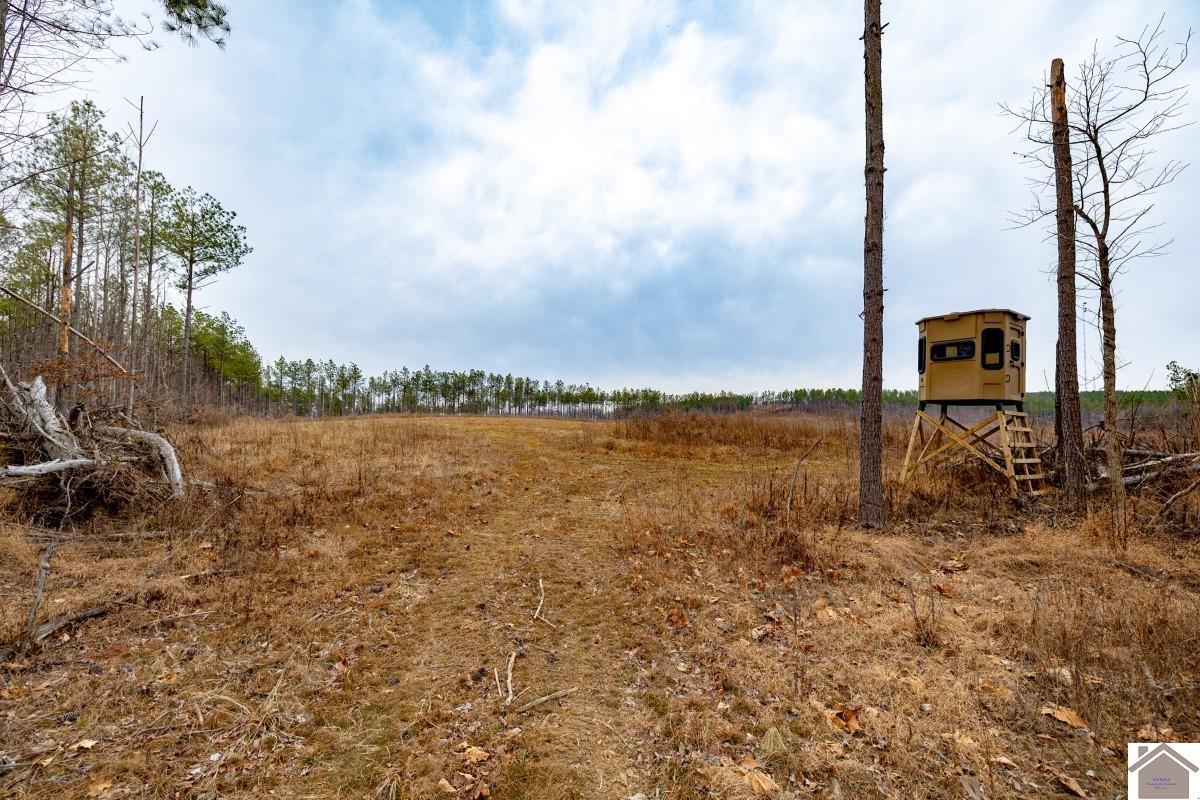 000 Cedar Grove Road