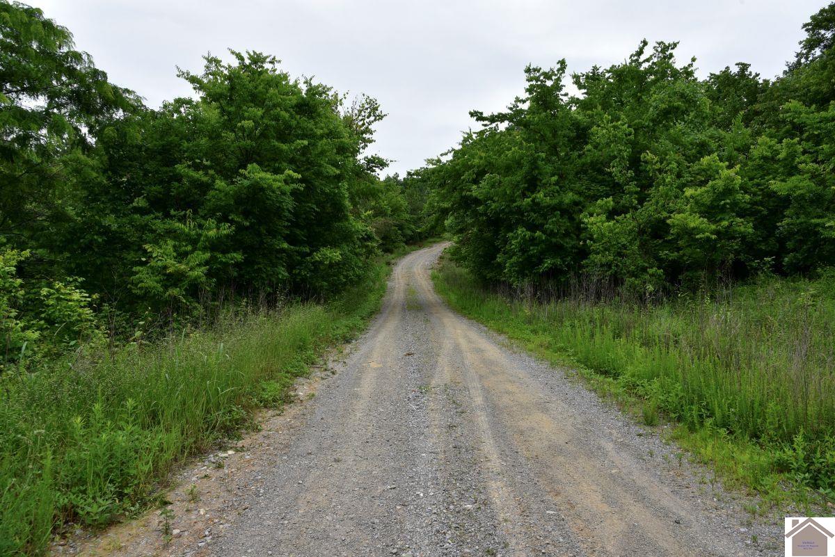 000 Cedar Grove Road