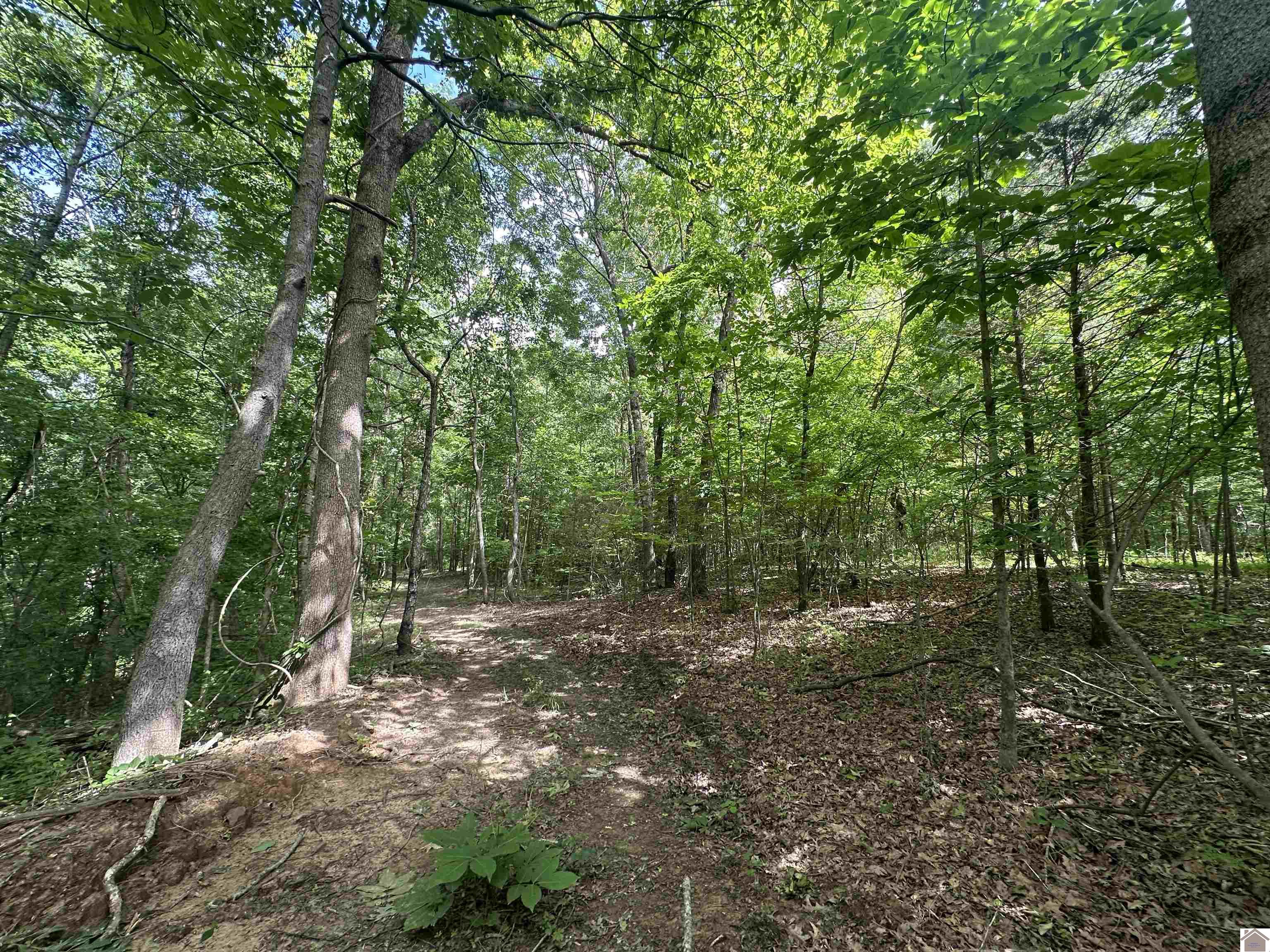 1 Timber Ridge Drive