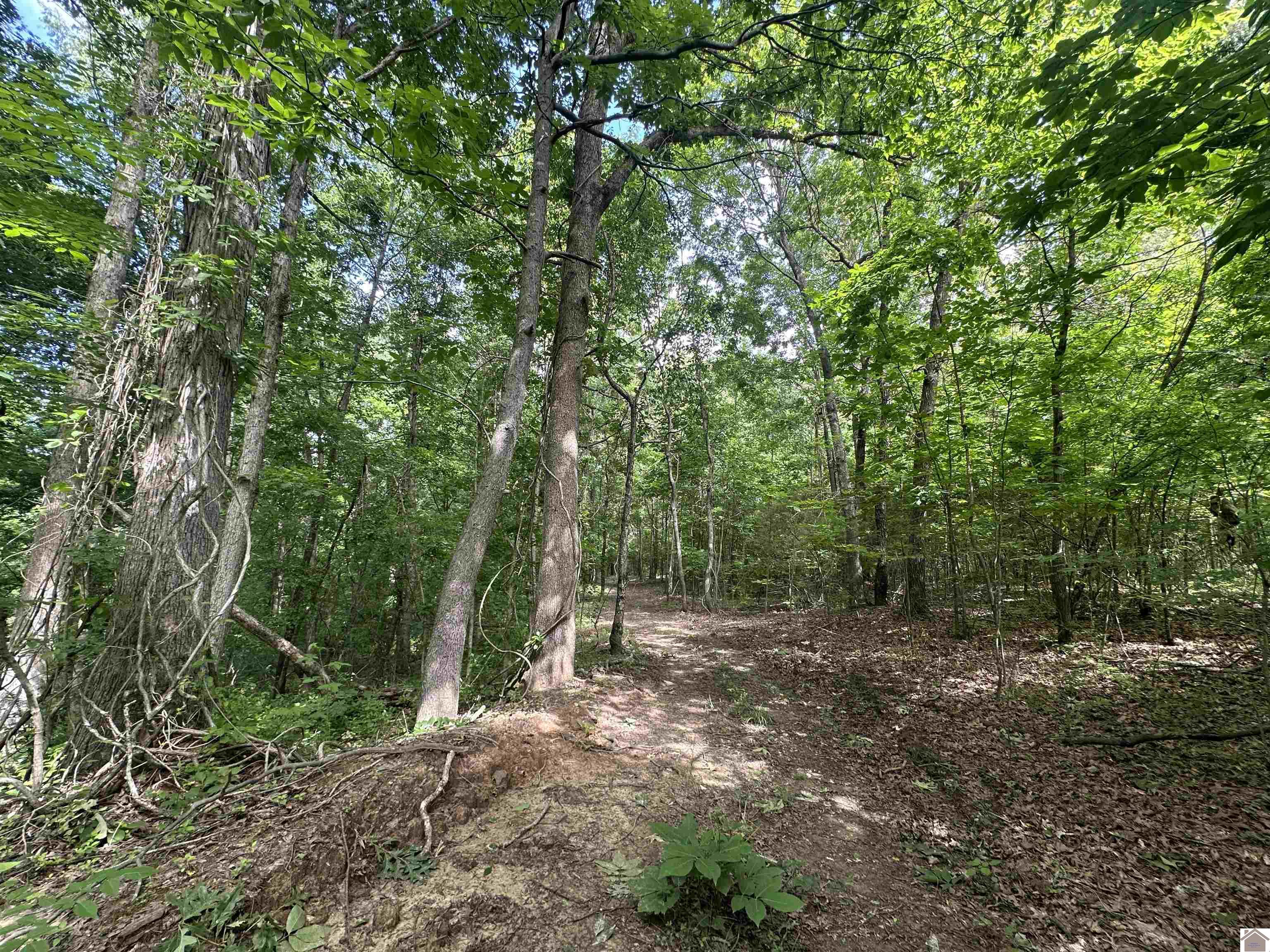 1 Timber Ridge Drive