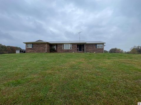 729 Lebanon Street Wingo KY 42088