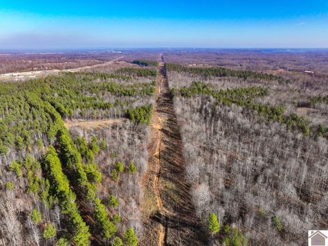 000 Tidwell Road Kuttawa KY 42055