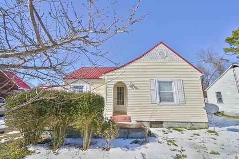 705 S 10th Street Mayfield KY 42066