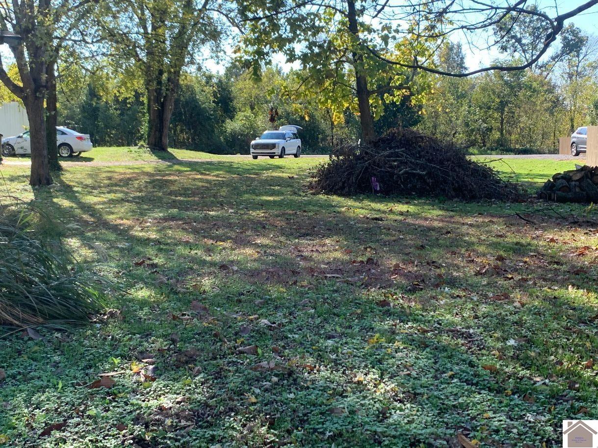 Photo 1 of 13 — 266 Lone Valley Road, Gilbertsville, KY 42044