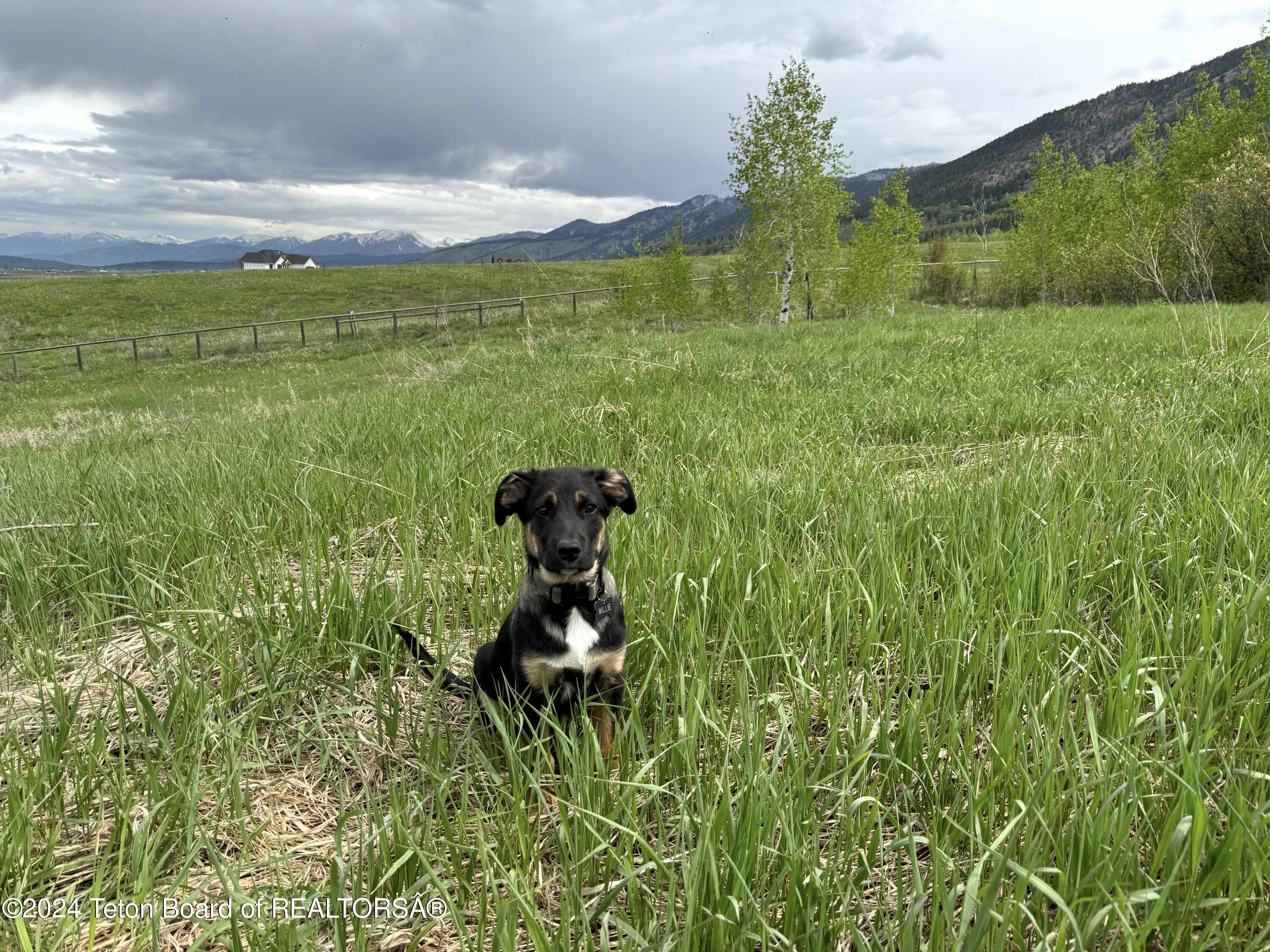 Etna, Wyoming 83118, United States, ,Land,Pending,56604