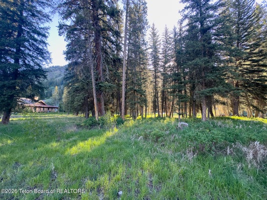 15635 S WAGON RD, JACKSON, WY 83001 - Image 0c8c76a9c3db96e7ba0c5205101fb413/3100262459