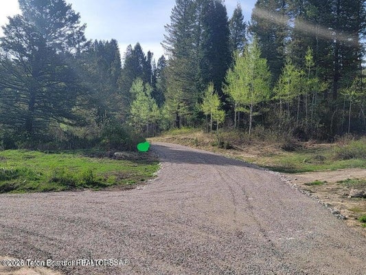 L39B4 CUTTHROAT RUN, IRWIN, ID 83428 - Image 0ca5b60d1126bac6ecc4e91271290992/4269077756