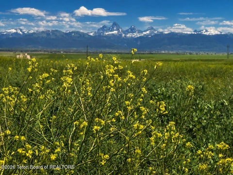 Photo of 8600 APPALOOSA RIDGE Trail, Tetonia, ID 83452 (MLS # 26-2286)