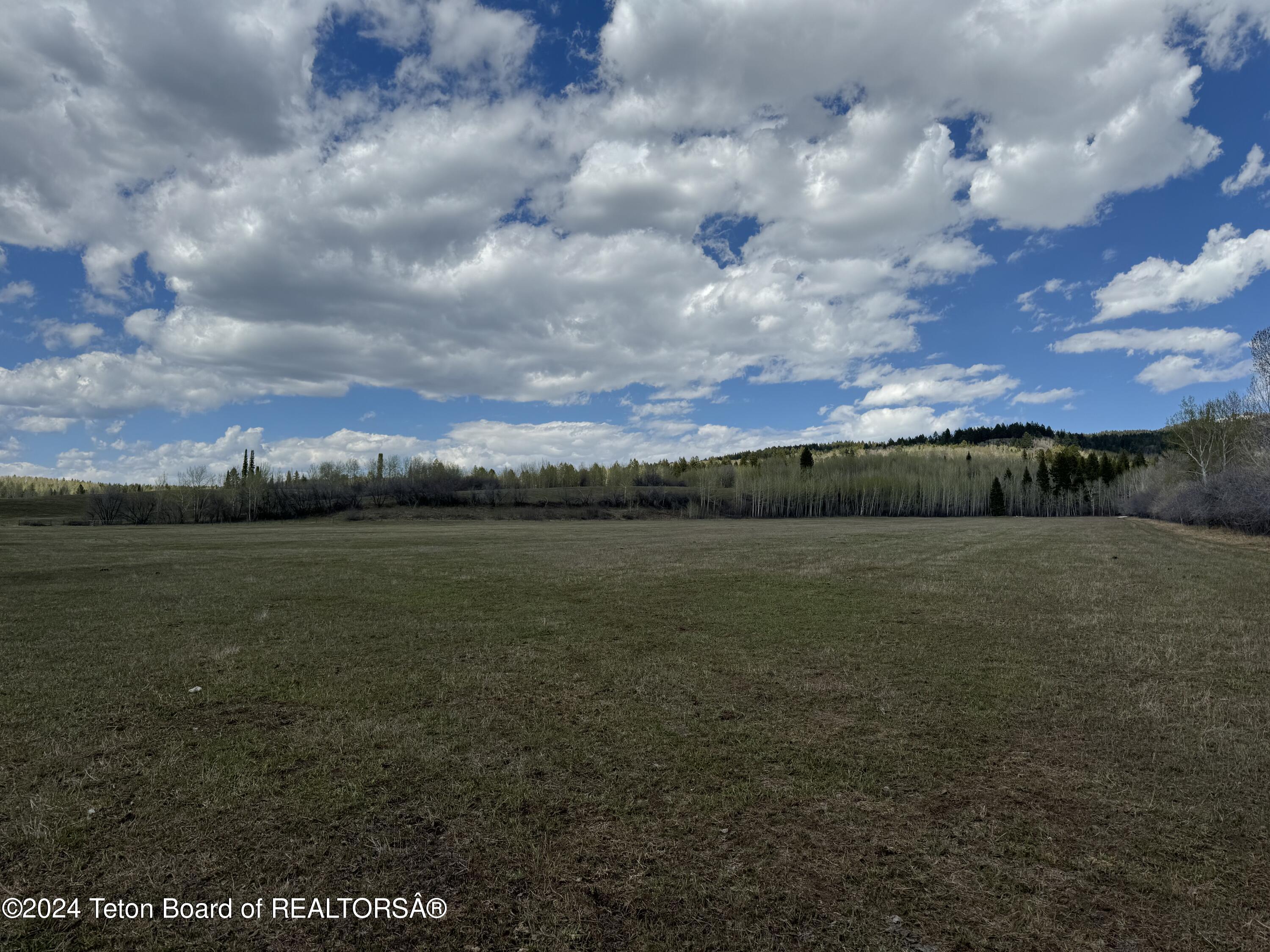 Alta, Wyoming 83414, United States, ,Land,Active,57459