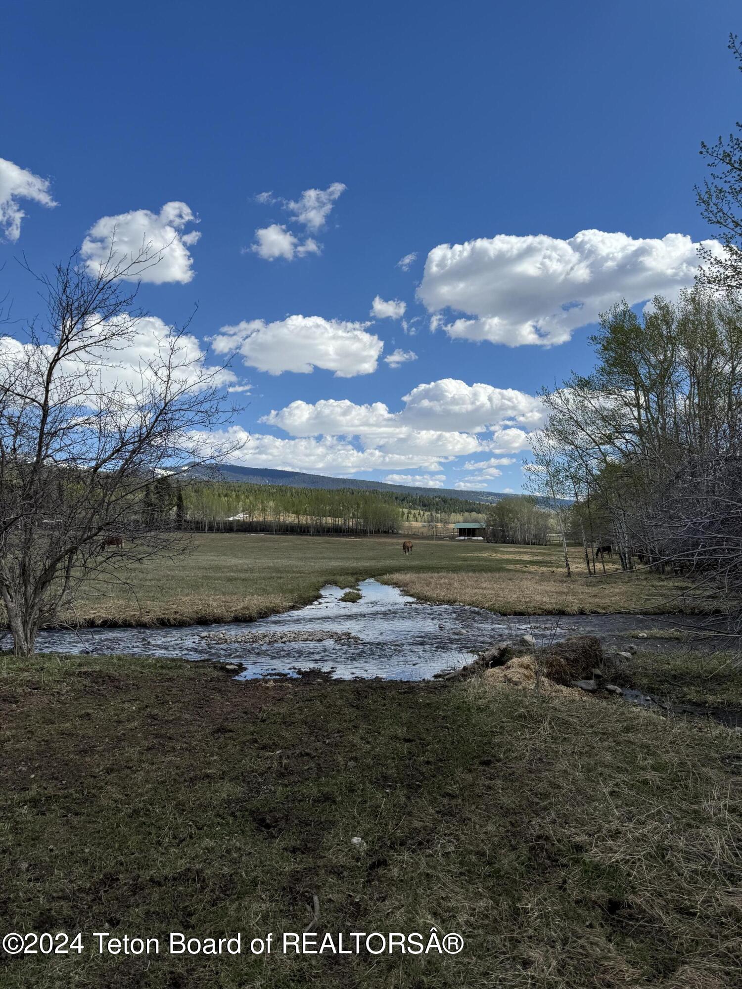 Alta, Wyoming 83414, United States, ,Land,Active,57459