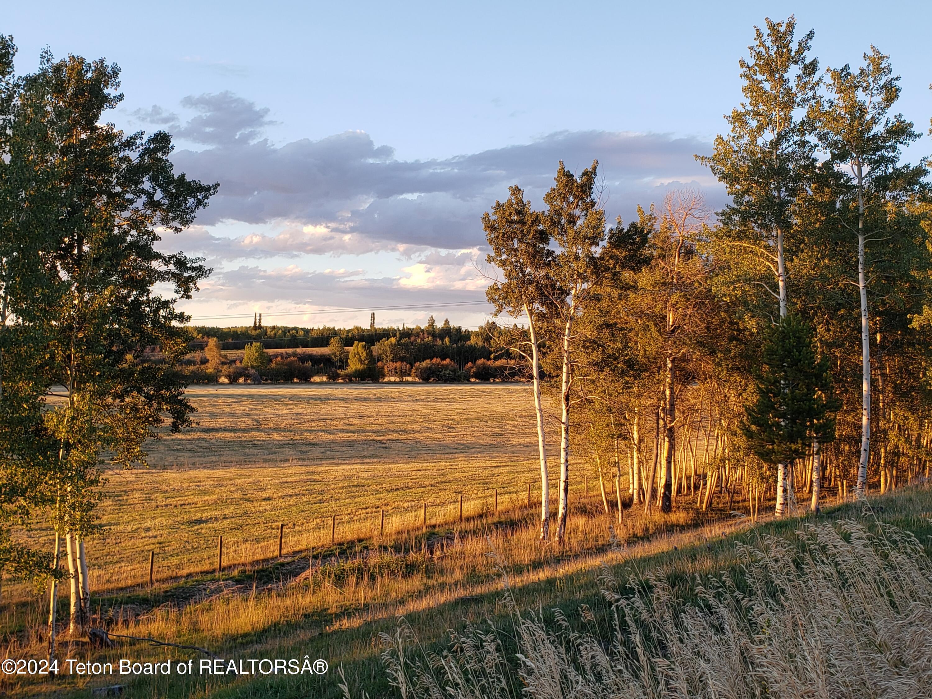 Alta, Wyoming 83414, United States, ,Land,Active,57459
